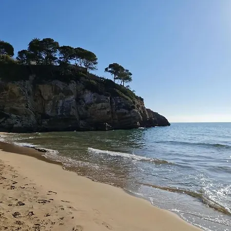 Cal Indigo - Unique Flat In Cap - Mind & Feet In Water Salou